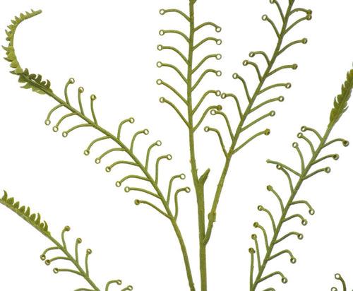 Koru Fern - Forest Green ✰✰✰ HALF PRICE SPECIAL ✰✰✰