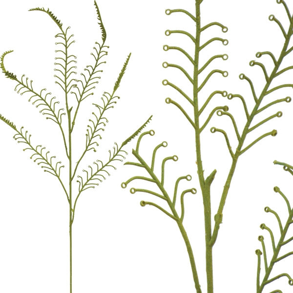 Koru Fern - Forest Green ✰✰✰ HALF PRICE SPECIAL ✰✰✰