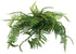 Fern - NZ - Large - Dark Green