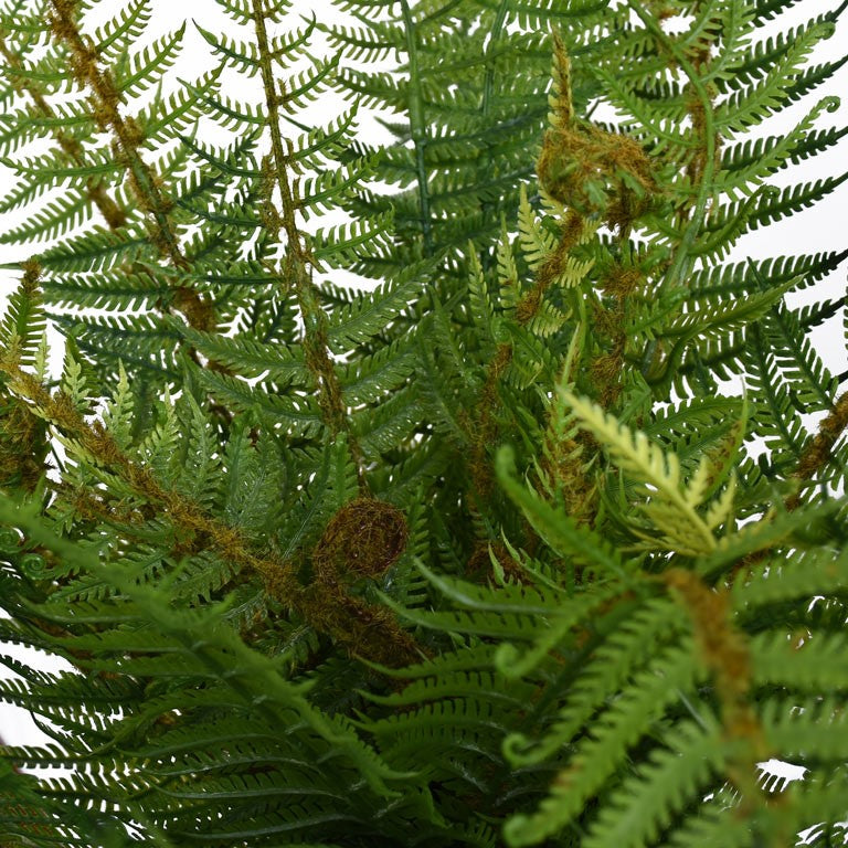 Fern - NZ - Large - Dark Green