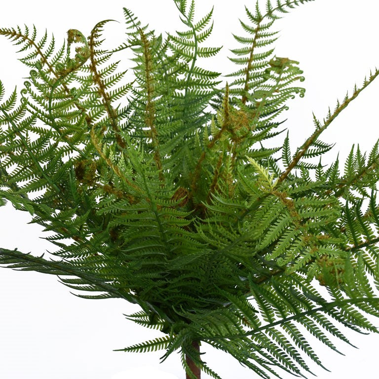 Fern - NZ - Large - Dark Green