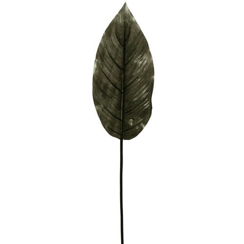 Leaf - Ginger - Black ✰✰✰ HALF PRICE SPECIAL ✰✰✰