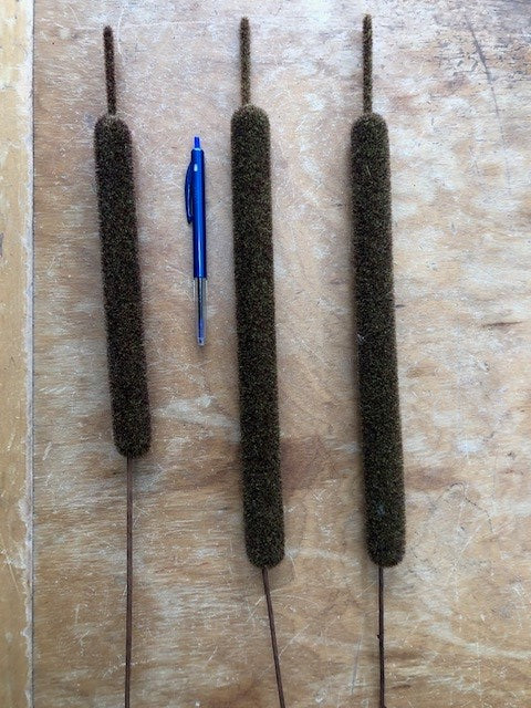 Bull Rushes - Forest Green - Pack of three heads