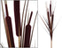 Bull Rush - Burgundy - Extra Large (Box of 6) ✰✰✰ HALF PRICE SPECIAL ✰✰✰