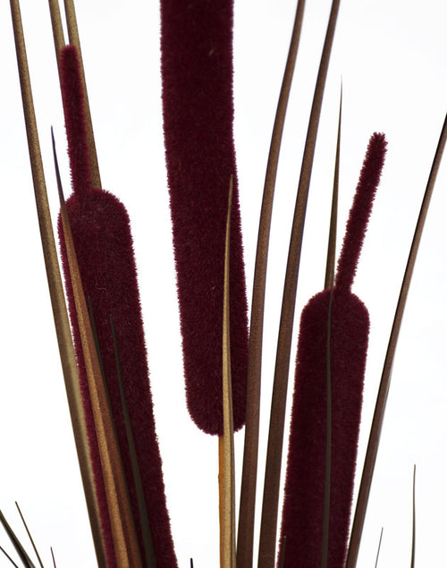 Bull Rush - Burgundy - Extra Large (Box of 6) ✰✰✰ HALF PRICE SPECIAL ✰✰✰