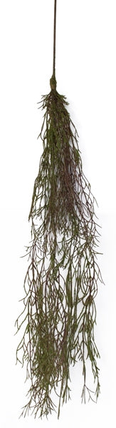 Hanging Moss Vines - Box Lot Deal (6)