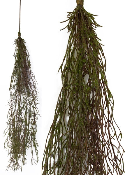 Hanging Moss Vines - Box Lot Deal (6)