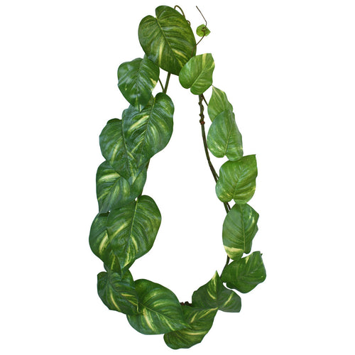 Pothos Garland - 6ft - Box Lot Deal (3)