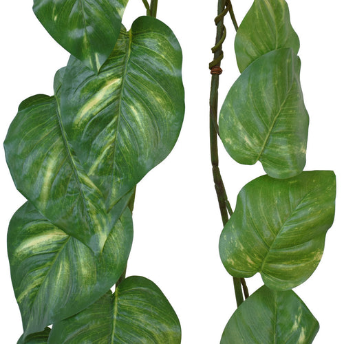 Pothos Garland - 6ft - Box Lot Deal (4)