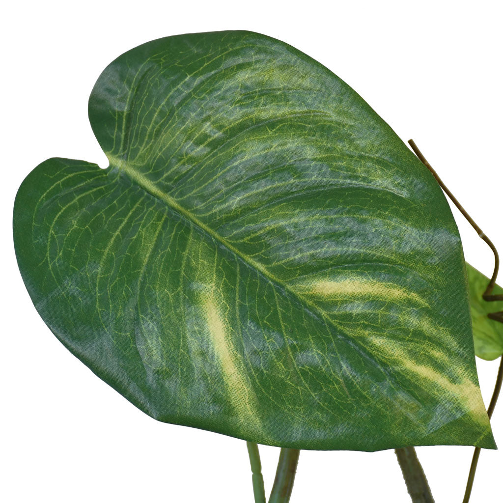 Pothos Garland - 6ft