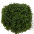 Table Topiary - Whispering Fern - Box Lot Deal (2)