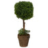 Topiary - www.decorflowers.co.nz