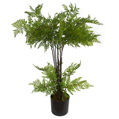 Potted Fern www.decorflowers.co.nz