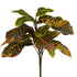 Croton Bush - www.decorflowers.co.nz