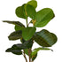 Fig Tree - Artificial - 95cm ✰✰✰ SPECIAL ✰✰✰