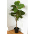 Fig Tree - Artificial - 95cm ✰✰✰ SPECIAL ✰✰✰