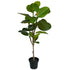 Artificial Fig Tree www.decorflowers.co.nz