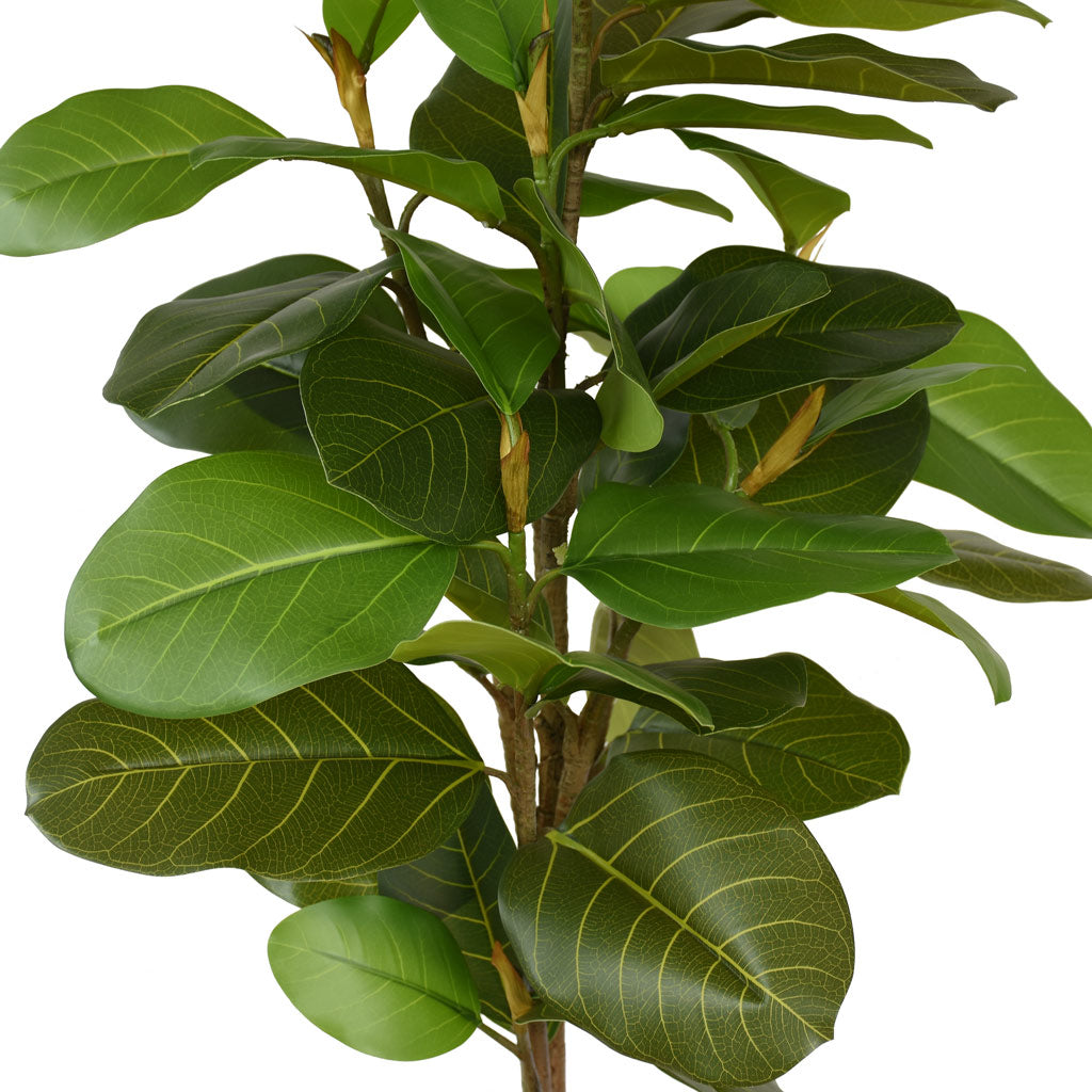 Fig Tree - Artificial - 145cm ✰✰✰ SPECIAL ✰✰✰