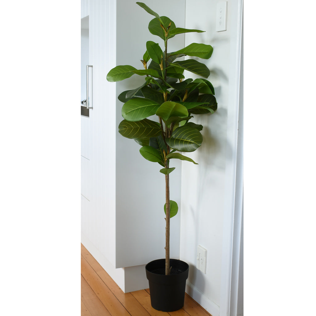 Fig Tree - Artificial - 145cm ✰✰✰ SPECIAL ✰✰✰