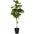 www.decorflowers.co.nz - Artificial Fig Tree
