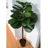 Fiddle Leaf Tree Artificial - Indoor