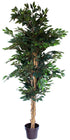 Artificial 200cm Ficus Tree www.decorflowers.co.nz