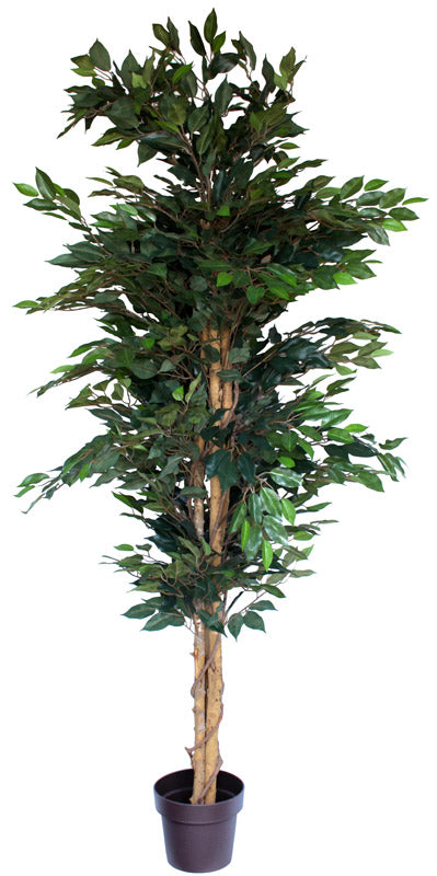 Tall artificial Ficus Tree www.dcorflowers.co.nz