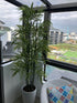 Bamboo Tree - Artificial - 150cm