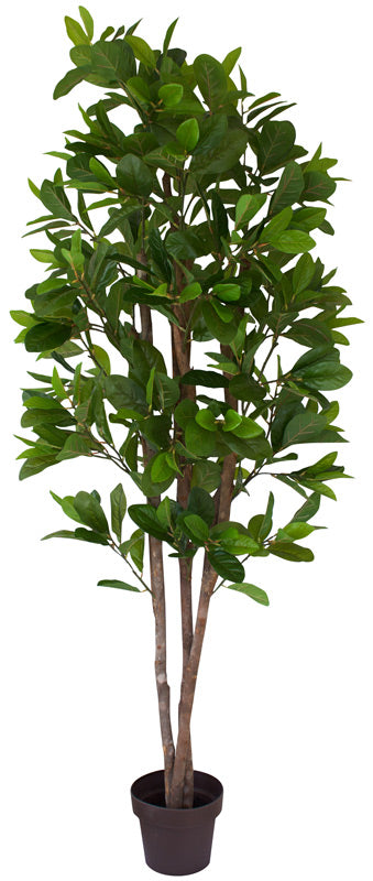 Artificial Magnolia Tree - Evergreen - www.decorflowers.co.nz