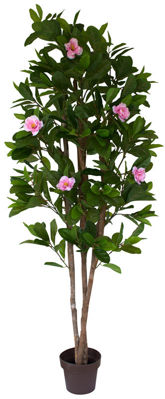 Camelia Tree - Artificial www.decorflowers.co.nz