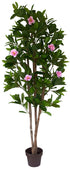 Camelia Tree - Artificial www.decorflowers.co.nz