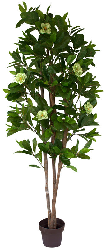 Artificial Camelia Tree www.decorflowers.co.nz