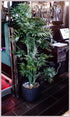 Tree - Bamboo Phoenix