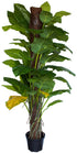 Artificial Tree - Scindapus www.decorflowers.co.nz