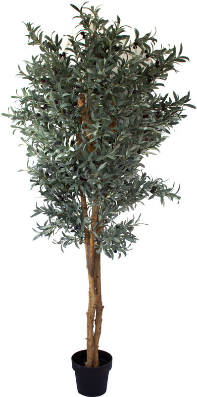 Olive Tree - Artificial - www.decorflowers.co.nz