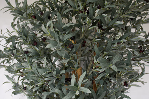 Olive Tree - Artificial 180cm ✰✰✰ SHOWROOM SPECIAL ✰✰✰