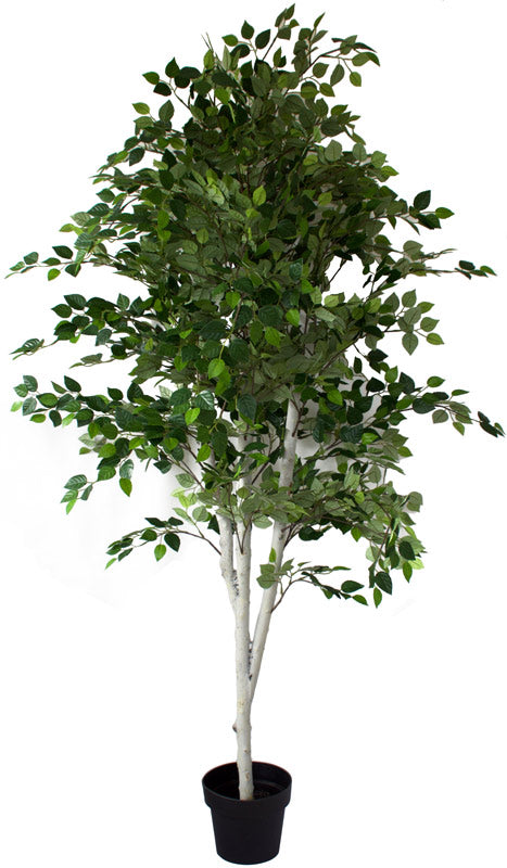 Artificial Silver Birch Tree www.decorflowers.co.nz