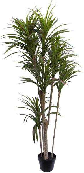 Artificial Tropical Tree Dracaena www.decorflowers.co.nz