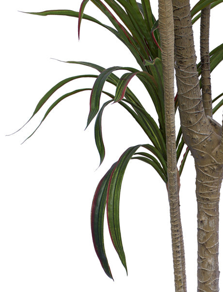 Dracaena Tree - Artificial - Green Red 140cm