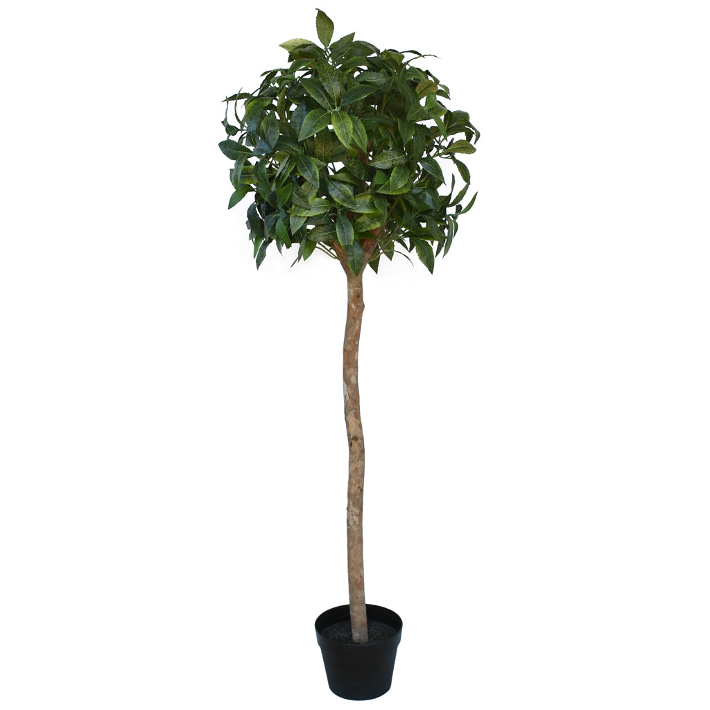 Artificial Bay Leaf Topiary from www.decorflowers.co.nz