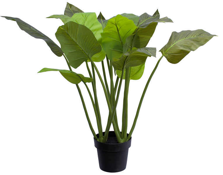 Philodendron - Artificial - 80cm