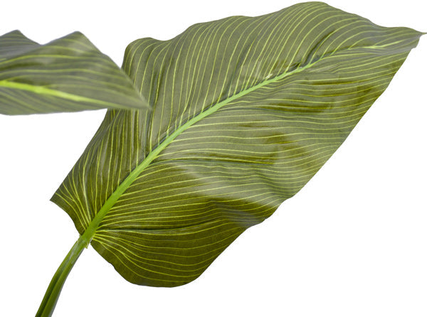 Philodendron - Artificial - 80cm  ✰✰✰ SHOWROOM SPECIAL ✰✰✰
