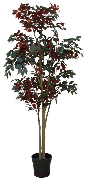 Artificial Capensia Tree from www.decroflowers.co.nz