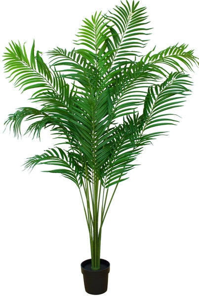 Artificial Pearl Palm at www.decorflowers.co.nz