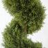 Topiary - Conifer Spiral - Green 120cm