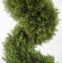 Topiary - Conifer Spiral - Green 120cm ✰✰✰ SHOWROOM SPECIAL ✰✰✰