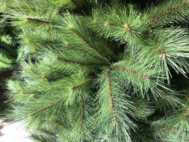 Christmas Tree - Artificial - NZ Pine 6ft