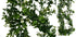 Buxus Garland - Artificial - 5ft - Box Lot Deal (4)