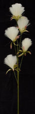 Bottle Brush Dandelions - Cream White - Box Lot Deal (24)