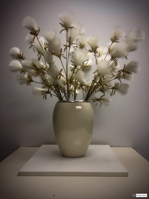 Bottle Brush Dandelion - Cream White